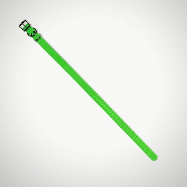 Replacement 2.5cm Collar Strap - Green