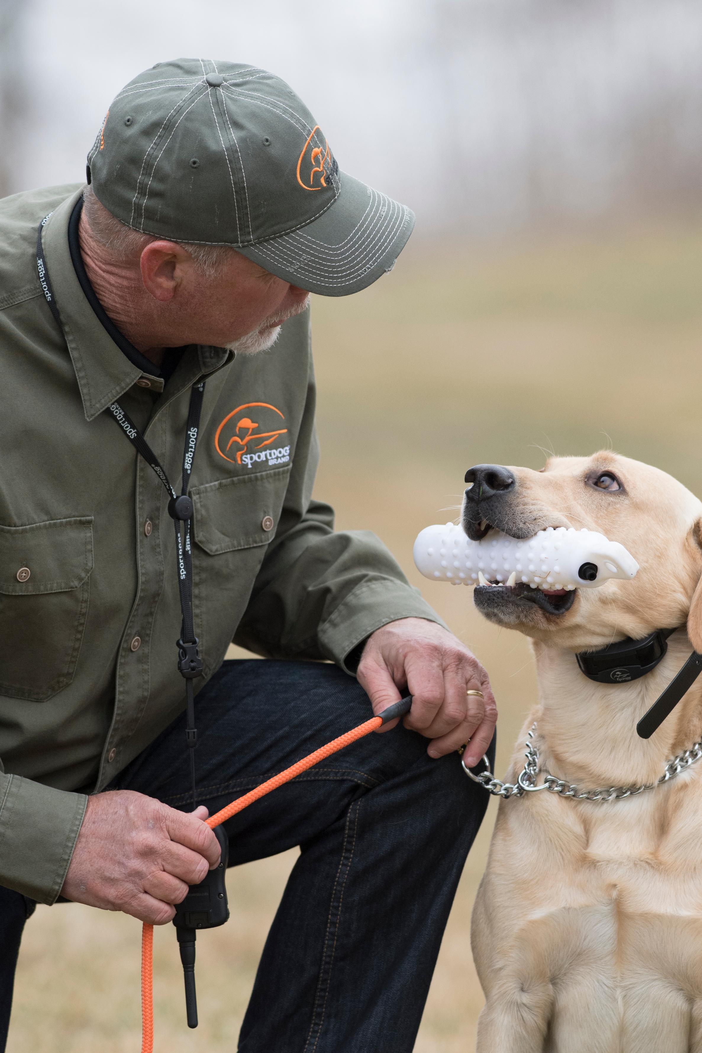Man kneeling and looking down at yellow labrador who is sitting looking up at him