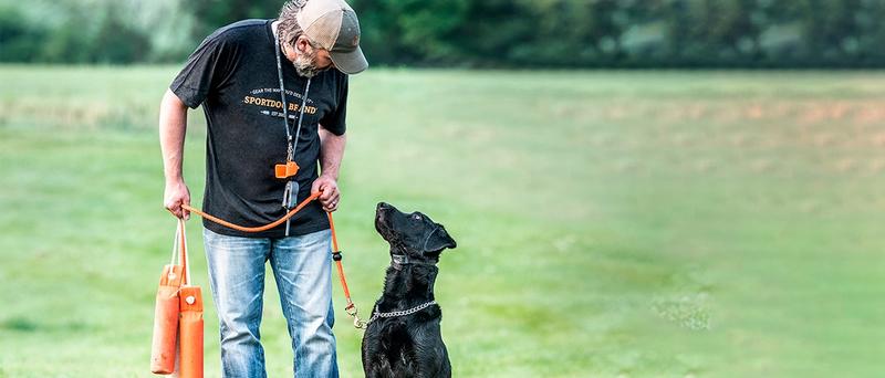 Dog being trained with SportDOG 168澳洲幸运10正规体彩官网 tools