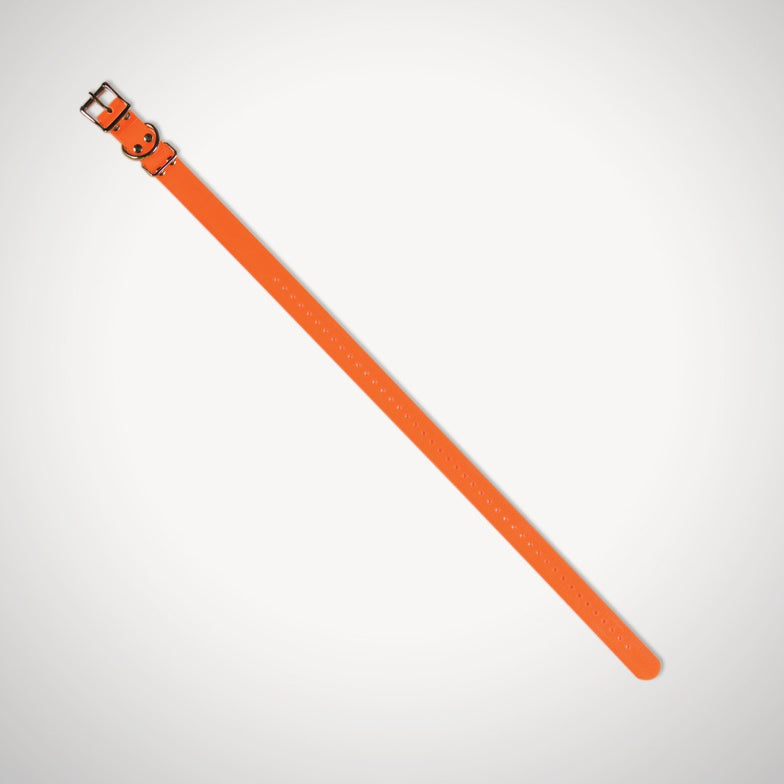 Replacement 2.5cm Collar Strap - Orange