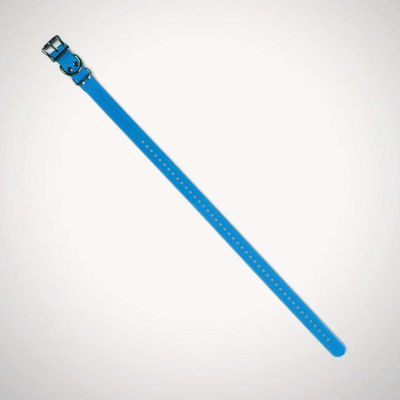 Replacement 2.5cm Collar Strap - Blue
